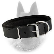 Leather Dog Collar Padded With Thick Felt
