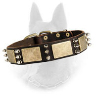 Leather Dog Collar With Brass Plates And Nickel Spikes