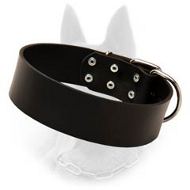 Wide Leather Belgian Malinois Dog Collar For Protection Work