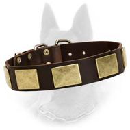 Handcrafted Leather Dog Collar With Vintage Massive Plates