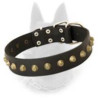 Belgian Malinois Leather Dog Collar with Brass Pyramids