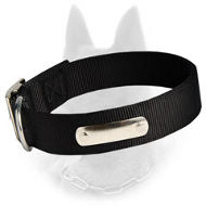 2 Ply Nylon Dog Collar With Name Tag For Belgian Malinois