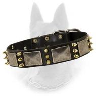 Belgian Malinois Leather Dog Collar with Old Nickel Plates and Brass Spikes