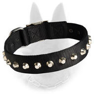Belgian Malinois Nylon Dog Collar with Nickle Pyramids