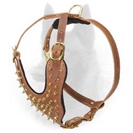 Royal Leather Belgian Malinois Harness with Brass Spikes