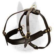 Padded Leather Belgian Malinois Harness for Pulling & Tracking