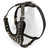 Decorated Leather Belgian Malinois Harness for Everyday Walking