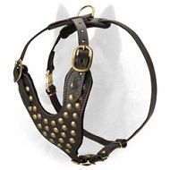 Fabulous Walking Leather Belgian Malinois Harness Decorated with Studs