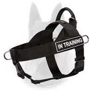 Nylon Belgian Malinois Harness for Pulling, Tracking, Training and SAR