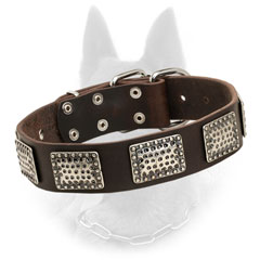 Belgian Malinois Leather Collar with Fancy Plates
