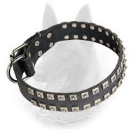 Belgian Malinois Leather Dog Collar Studded with Square Pyramids