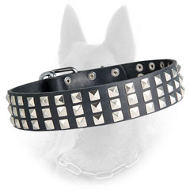 Belgian Malinois Studded Leather Dog Collar with 3 Rows of Nickel Pyramids