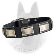 Belgian Malinois Leather Dog Collar Decorated with Carved Nickel Plates