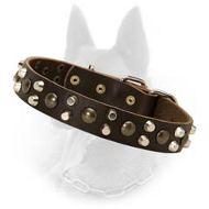 Belgian Malinois Studded Leather Dog Collar with Nickel Pyramids