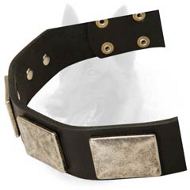 Leather Belgian Malinois Collar with Massive Nickel Plates