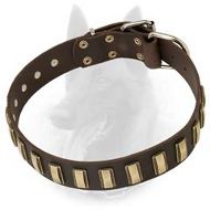 Belgian Malinois Leather Dog Collar with Slim Brass Plates