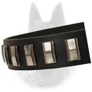 Belgian Malinois Leather Dog Collar with Slim Nickel Plates