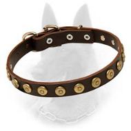 Belgian Malinois Leather Dog Collar with Brass Doted Circles