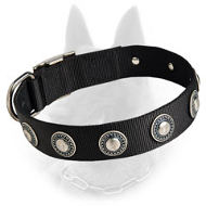 Belgian Malinois Nylon Dog Collar with Silver Circles
