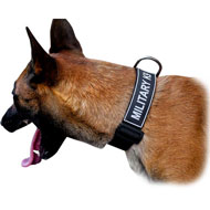 Belgian Malinois Working Nylon Dog Collar with Patches and Quick Release Buckle