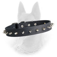 Belgian Malinois Spiked Leather Dog Collar with 1 Row of Nickel Spikes