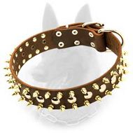 Belgian Malinois Spiked Leather Dog Collar with Nickel Studs and Brass Spikes