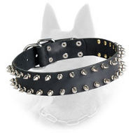 Belgian Malinois Spiked Leather Dog Collar with 2 Rows of Nickel Spikes