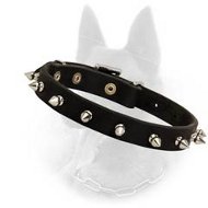 Leather Spiked Dog Collar- 1 Row of Spikes