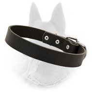 Belgian Malinois Classic Leather Dog Collar - 30 mm