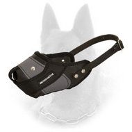 Leather and Nylon Agitation Muzzle for Belgian Malinois