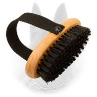 Bristle Belgian Malinois Brush for Everyday Combing