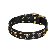 'Jolly Rojer' FDT Artisan Belgian Malinois Leather Dog Collar with Pirate Skulls and Studs - 1 1/2 inch (40 mm) wide