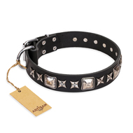 'Space Walk' FDT Artisan Belgian Malinois Black Leather Dog Collar with Exquisite Adornments