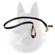 Nylon Belgian Malinois Leash with Nappa Leather Padding