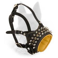 Belgian Malinois Soft Leather Spikes and Studs Dog Muzzle