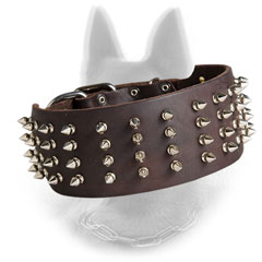 Spiked Leather Belgian Malinois Collar 3 Inch Wide
