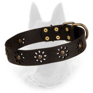 'Spring mood' Leather Belgian Malinois Collar for Stylish Walking