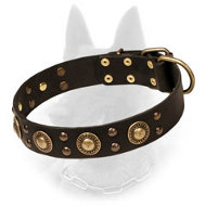 "Space-like" Belgian Malinois Leather Dog Collar