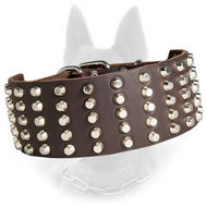 Leather Belgian Malinois Collar 3 Inch Width
