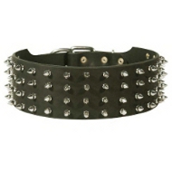 Leather Belgian Malinois Collar with Spike Decoration