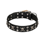 FDT Artisan 'Rock 'n' Roll Style' Fancy Leather Belgian Malinois Collar with Skulls, Bones and Studs 1 1/2 inch (40 mm) wide