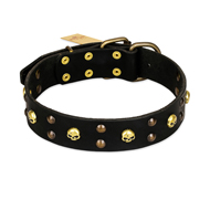 FDT Artisan 'Heavy Metal' Leather Belgian Malinois Collar with Skulls and Half-Balls 1 1/2 inch (40 mm)