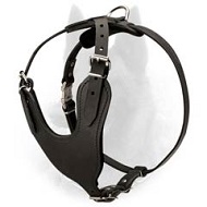Heavy Duty Leather Belgian Malinois Harness for Attack/Protection Training