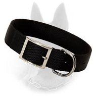 Black Stylish Nylon Collar for Belgian Malinois