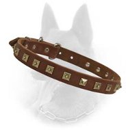 Belgian Malinois "Caterpilla" Brass Studs Leather Handcrafted Collar