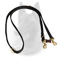 Any Weather Belgian Malinois Nylon Leash