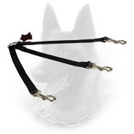 Nylon Belgian Malinois Leash for Walking with 3 Dogs