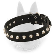 Leather Belgian Malinois Collar "Daily Elegance" with Silver-Like Pyramids