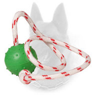 "Joy & Train" Belgian Malinois Water Bite Ball - Small