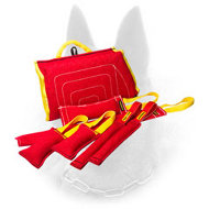 Start Training Belgian Malinois Puppy with Wonderful Bite Tugs Set